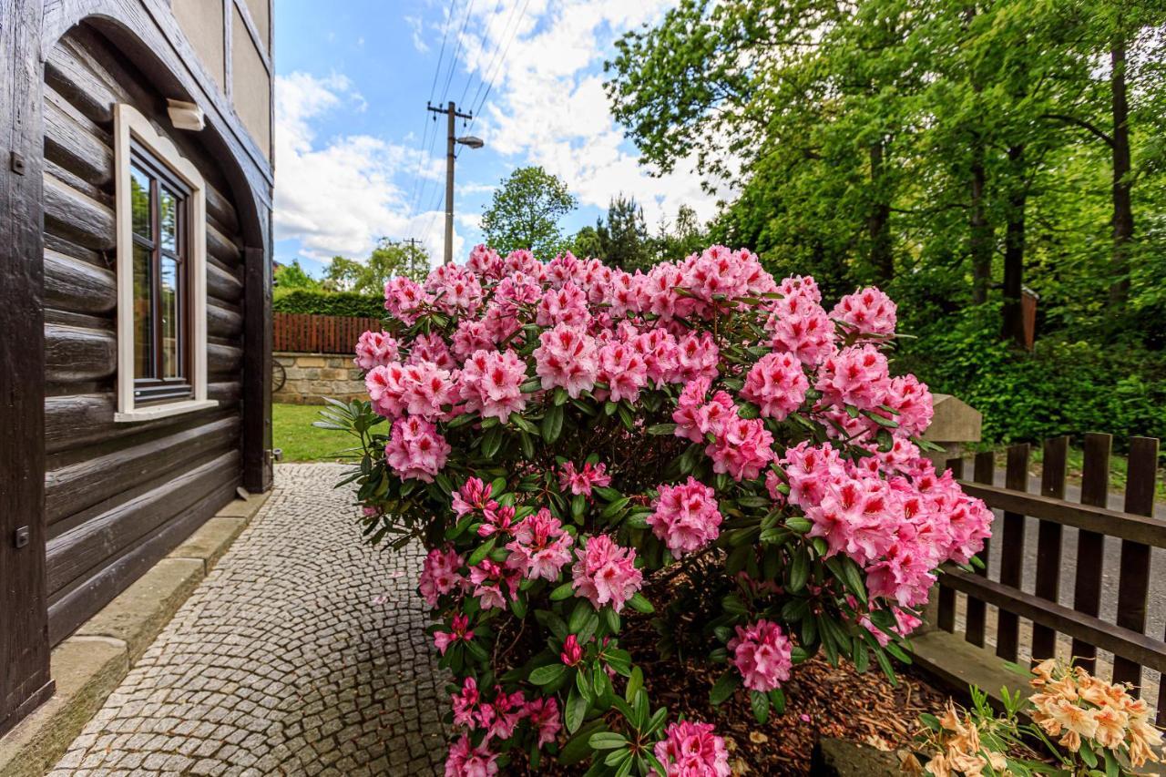 Apartmany Jozak Arnoltice u Decina Zewnętrze zdjęcie